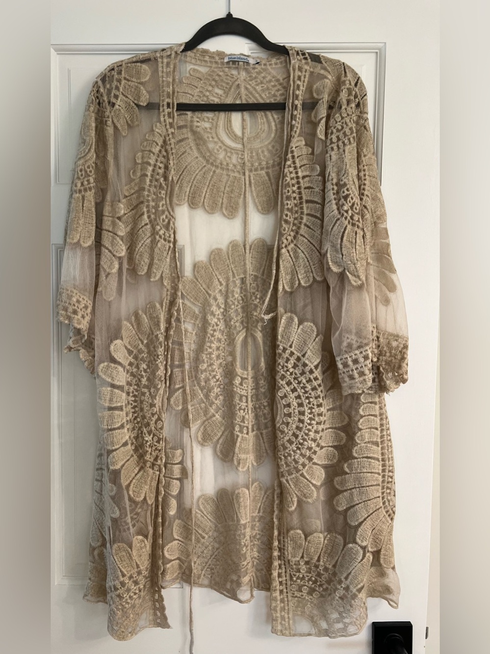 blue island Sheer Embroidered Lace swim coverup in Beige